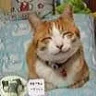Happy_Farmer