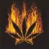 juansativa
