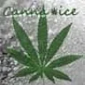 Cana-ice