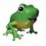 harry-frog