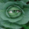 mickygreen
