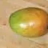 Pashawn