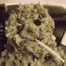 budboy???