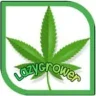 LazyGrower