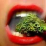 rastaman30
