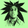 Thibthepunk