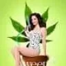 manouchel