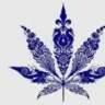 C-G.