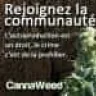 TEAM CannaWeed