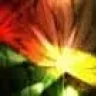 PeaceNatur