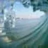 tranbert33