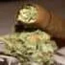 cannawarrior