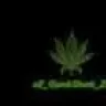 zZ_QuickSkunk_Zz