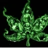 CannaBox