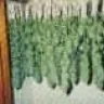 canna.be88