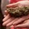 HarryGrower