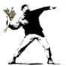 Lutece Falco