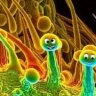 HydrocannabiLoL