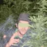 MoroccanWeeder