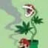 Waldoweed