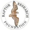 R4ptoR