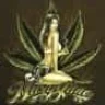 FirstPlant