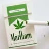 smok-weed