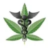 ChetaneWeed