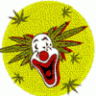 boomzion