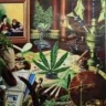 WEED_LIFE