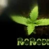 rorodk