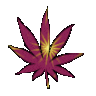 SmokerExpress