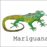 IguaneLand