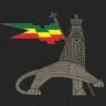 akh9494