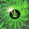 bigbudybud