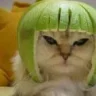 Reirel