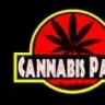 pde88