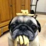 bao_bab