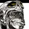 BuzzMonkey