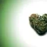 Weed and Co.