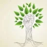 Green-hand2