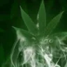 GreenTechno