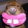 Wares