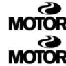 motorex