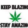 00WeedAMax00