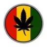 Purplehaze420