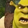 Mr.shrek