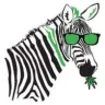 Zebra x Sativa