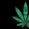 GreenQuality