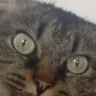 O0face